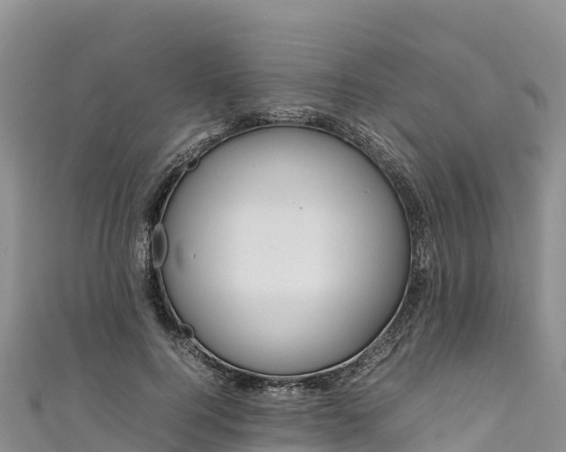 X0000111190744200907081256