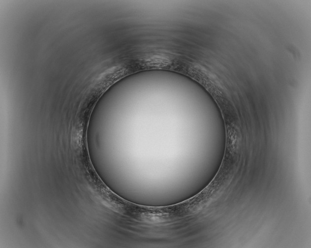 X0000111190745200907081256