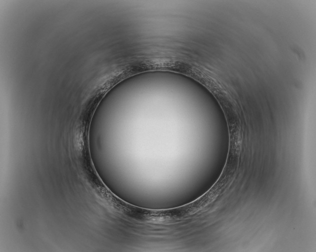 X0000111190746200907081256