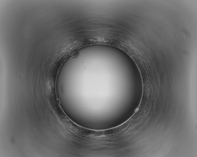 X0000111190747200907081256