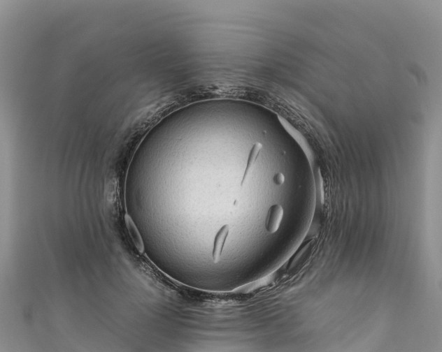 X0000111190748200907081256