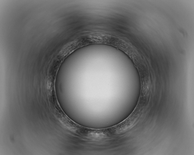 X0000111190749200907081256