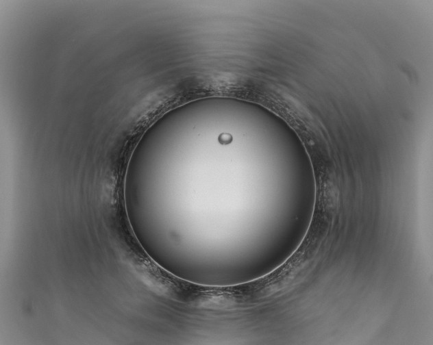 X0000111190750200907081256