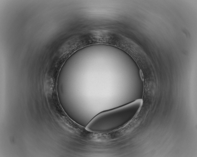 X0000111190752200907081256