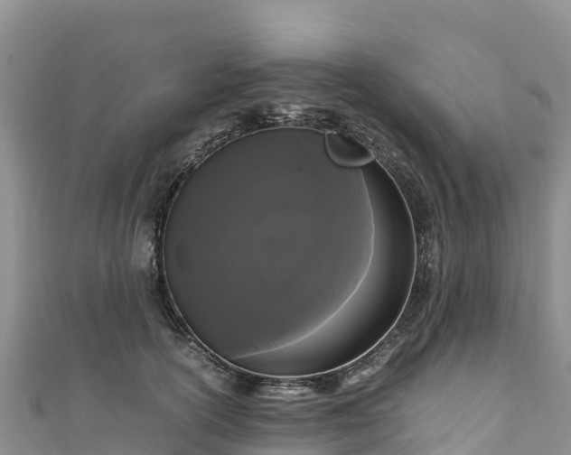 X0000111190754200907081256