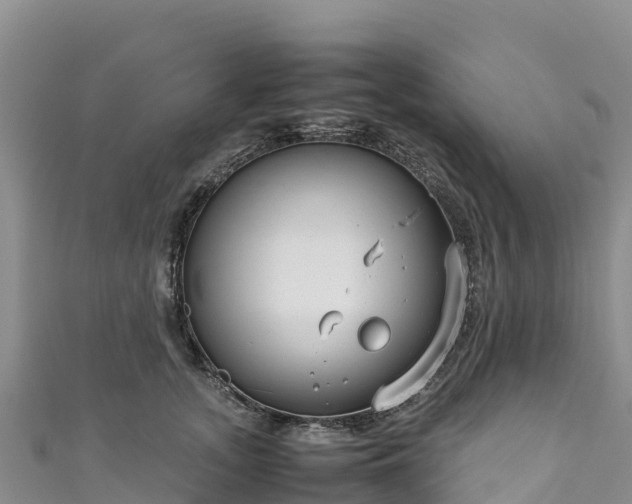 X0000111190755200907081256