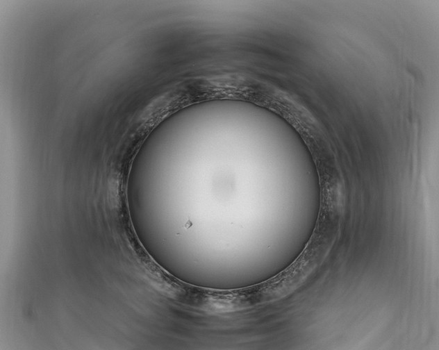 X0000111190757200907081256