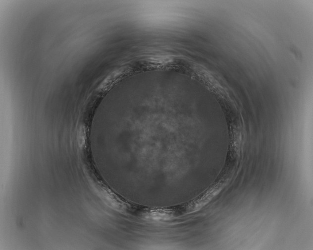 X0000111190758200907081256