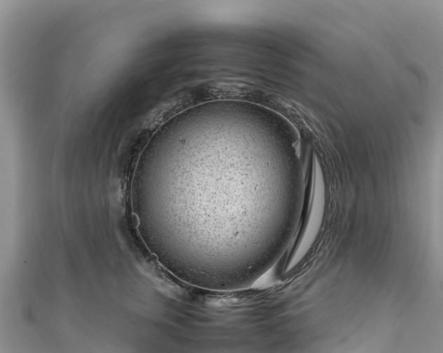 X0000111190759200907081256