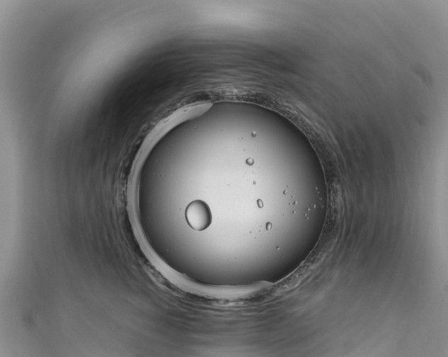 X0000111190760200907081256