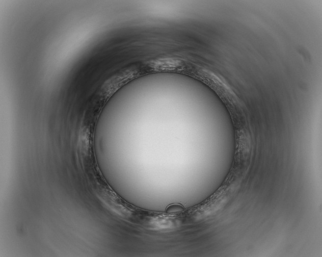 X0000111190761200907081256