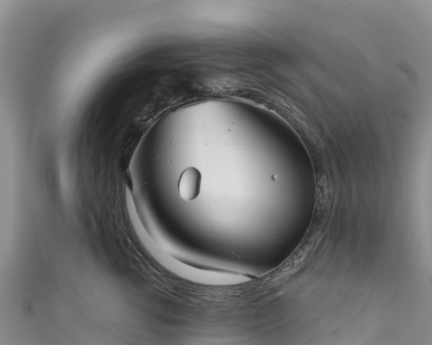 X0000111190762200907081256