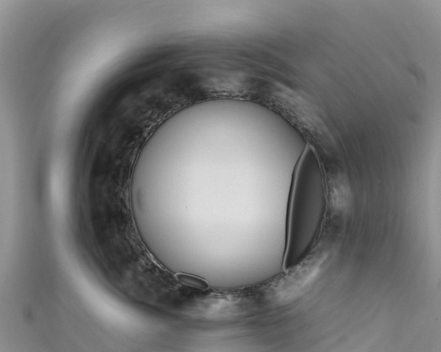 X0000111190764200907081256