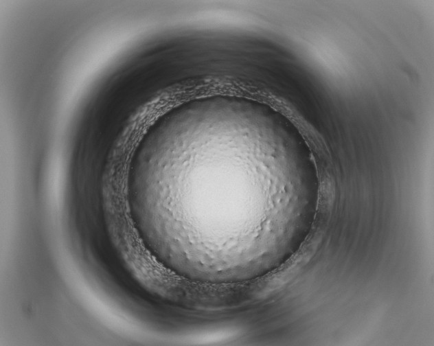 X0000111190765200907081256