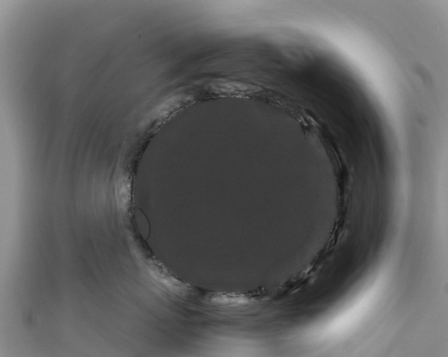 X0000111190767200907081256