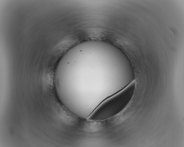 X0000111190768200907081256