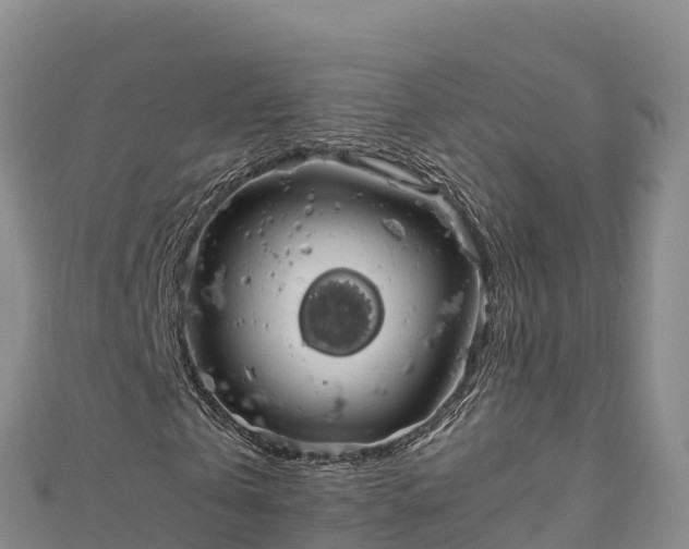 X0000111190769200907081255