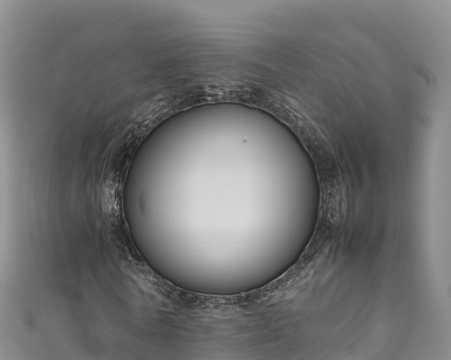 X0000111190770200907081255