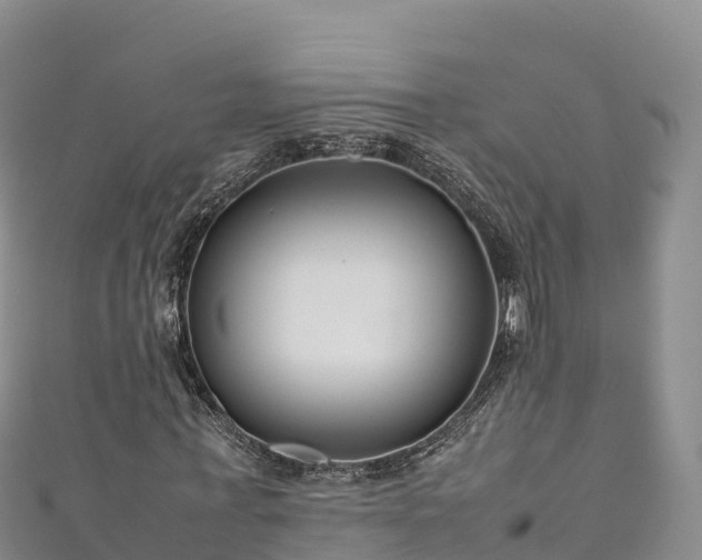 X0000111190771200907081255