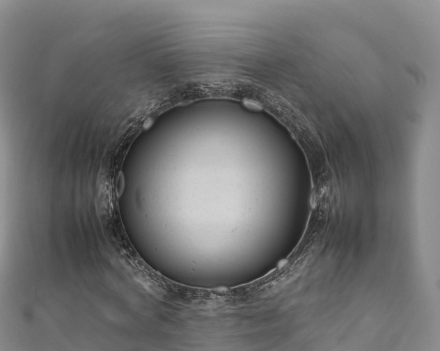 X0000111190772200907081255