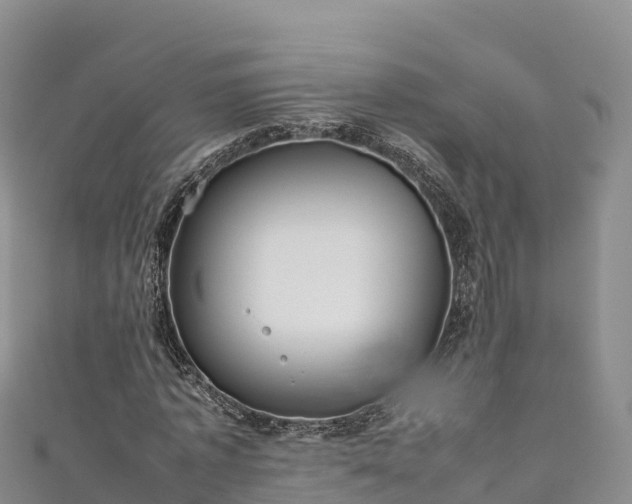 X0000111190773200907081255