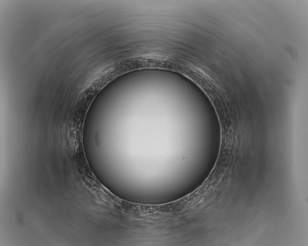 X0000111190774200907081255