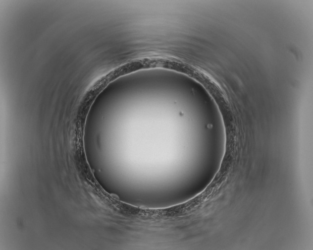 X0000111190775200907081255