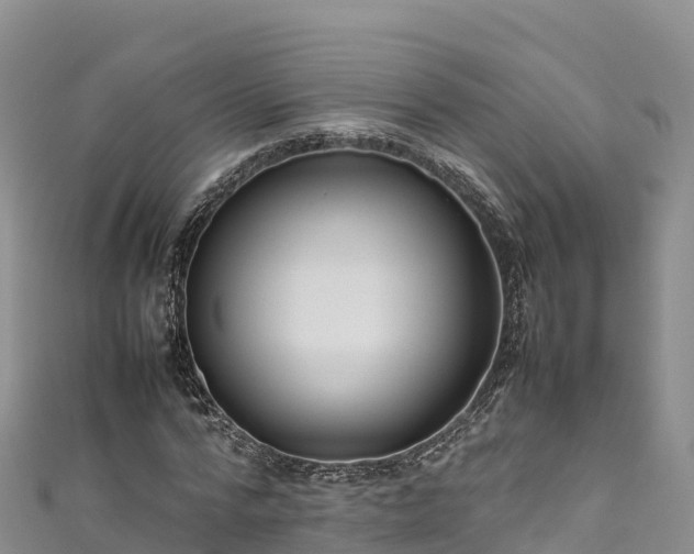 X0000111190776200907081255