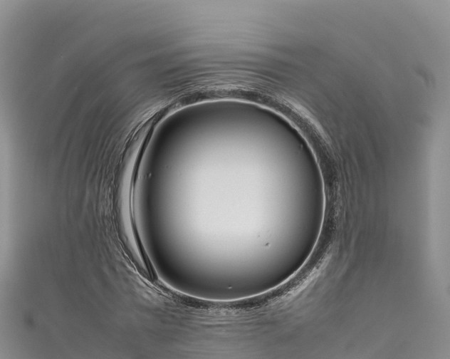 X0000111190777200907081255