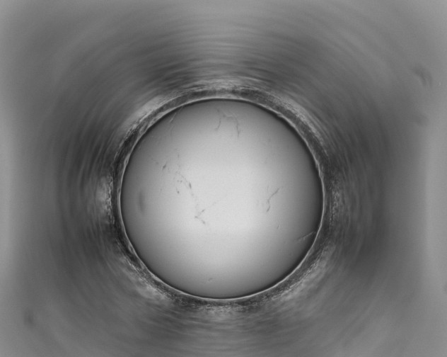 X0000111190778200907081255