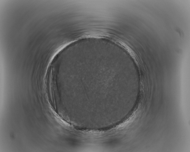 X0000111190779200907081255