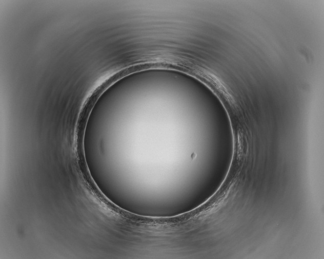 X0000111190780200907081255