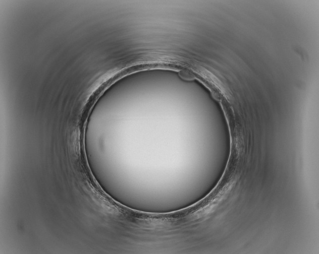 X0000111190781200907081255