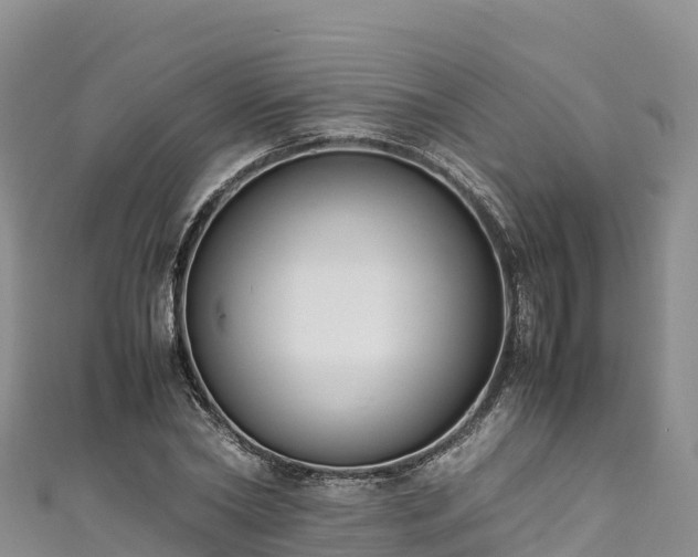 X0000111190782200907081255