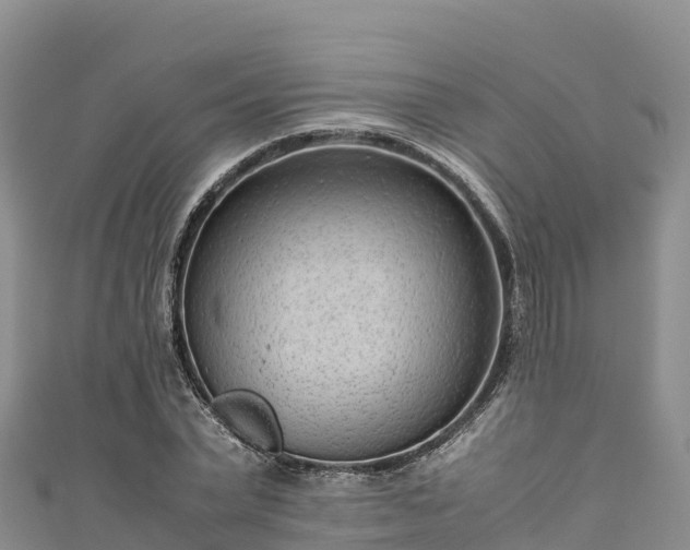 X0000111190783200907081255