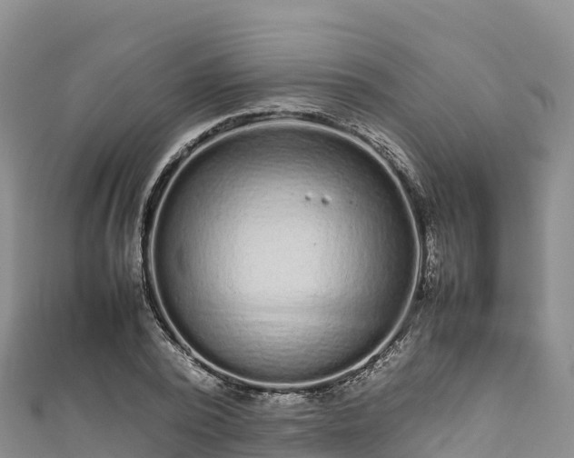 X0000111190784200907081255