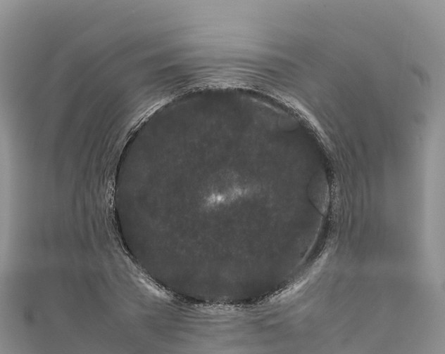 X0000111190785200907081255