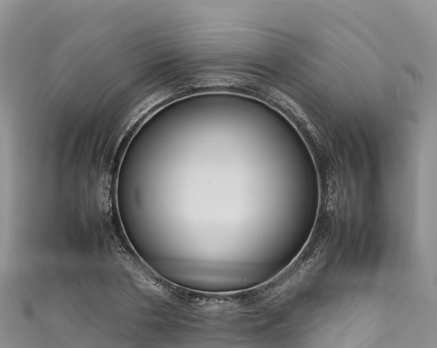 X0000111190786200907081255