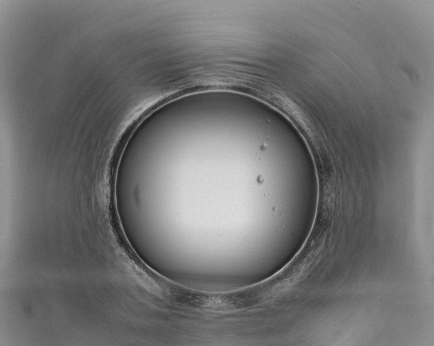 X0000111190787200907081255