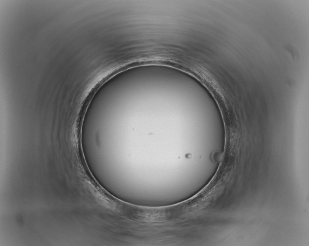 X0000111190789200907081255