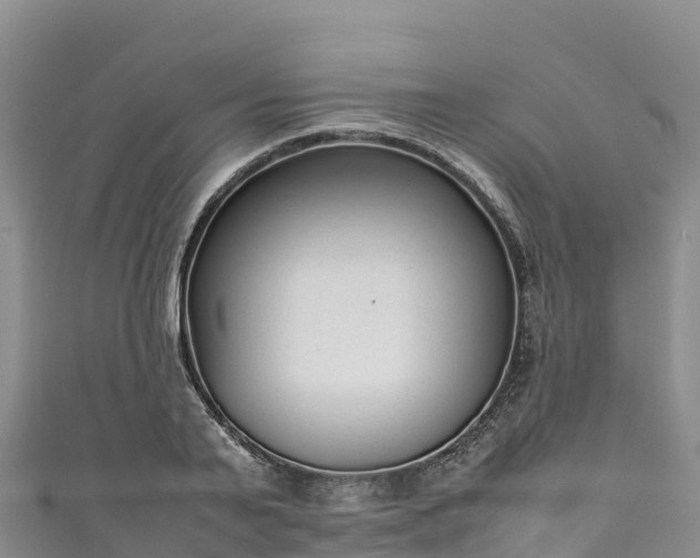 X0000111190791200907081255