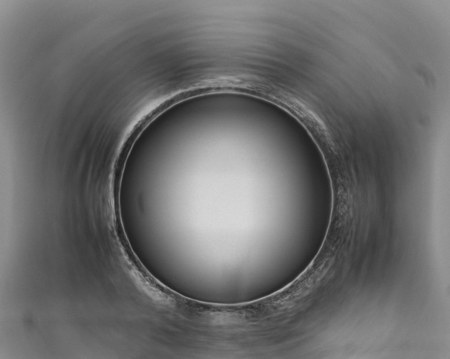 X0000111190792200907081255