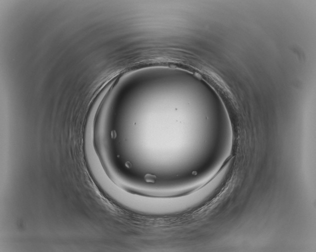 X0000111190793200907081255