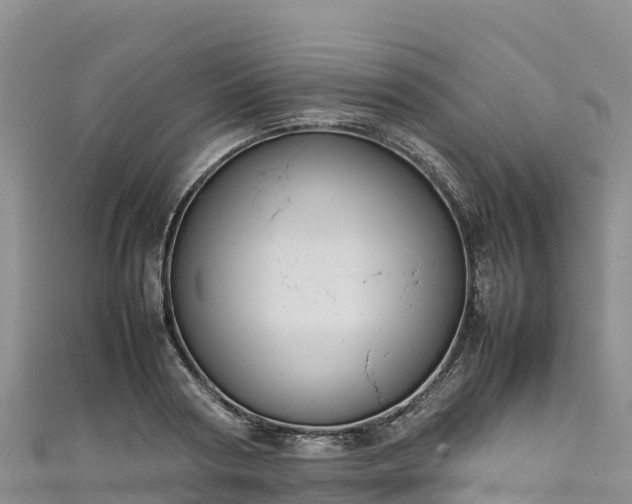 X0000111190794200907081255