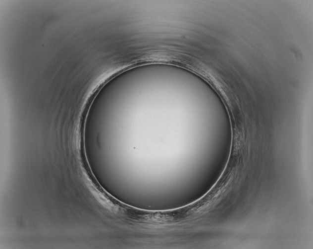 X0000111190795200907081255