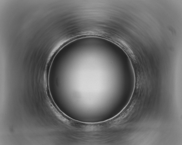 X0000111190796200907081255