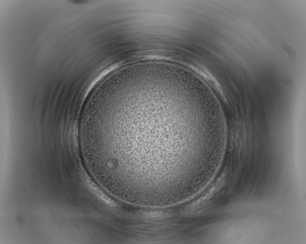 X0000111190798200907081255