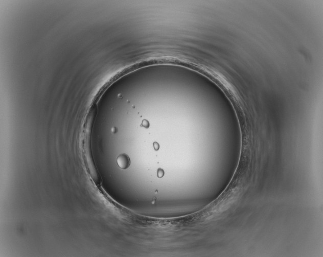 X0000111190799200907081255