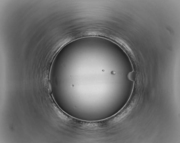 X0000111190801200907081255