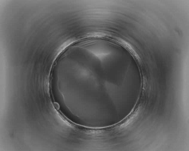 X0000111190802200907081255